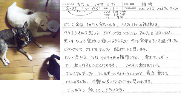 お客さまから頂いた手紙:パフィちゃんとたなちゃん