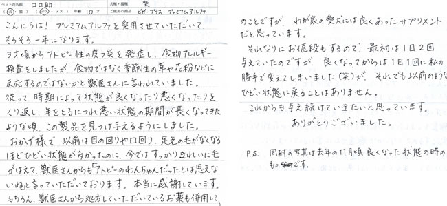 お客さまから頂いた手紙:柴犬のコロ助くん