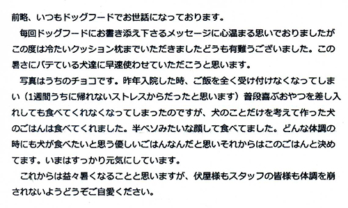 お客さまから頂いた手紙：チョコちゃん
