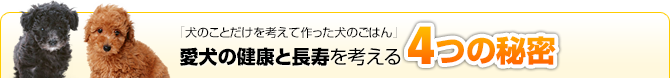 「犬のことだけを考えて作った犬のごはん」愛犬の健康と長寿を考える4つの秘密